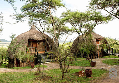4 Days Arusha / Serengeti National Parks / Ngorongoro / Arusha Safari