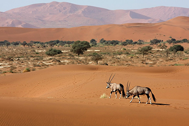 Namibia