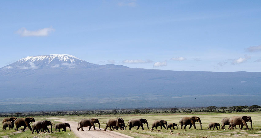12 Days Masai Mara / Amboseli / Mombasa