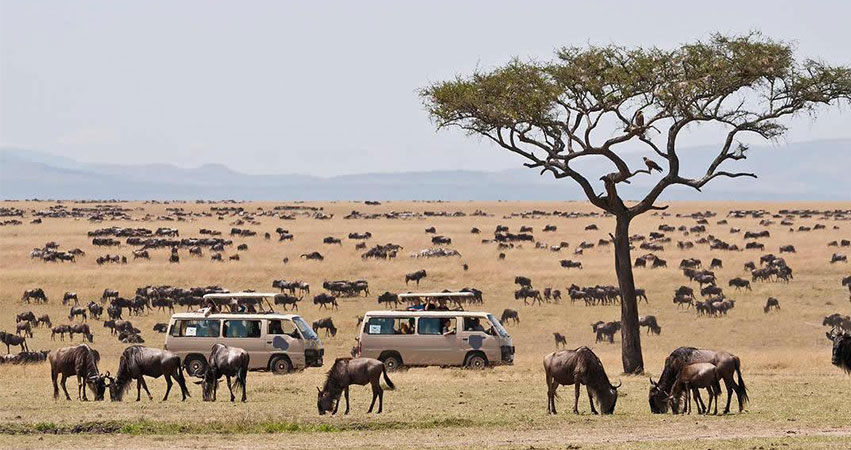 2 Days Masai Mara Flying Safari