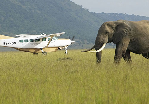 3 Days Amboseli National Park Flying Safari