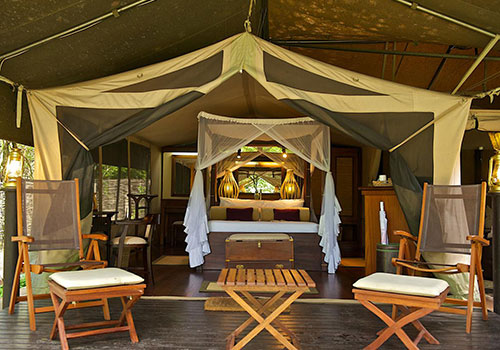 3 Days Masai Mara Lodge Safari