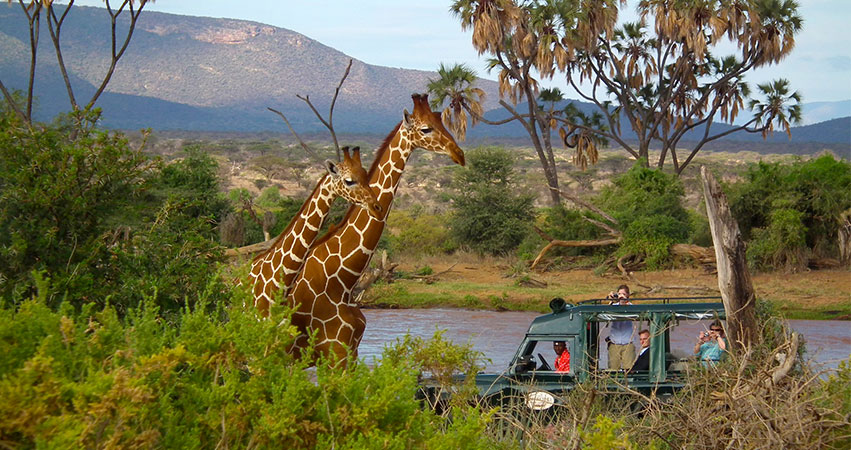 3 days Samburu Flying safari