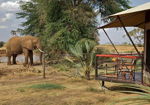 3 Days Samburu Flying Safari
