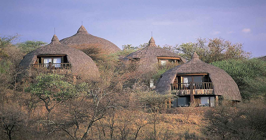 5 Days Lake Manyara / Ngorongoro / Serengeti Lodge Safari