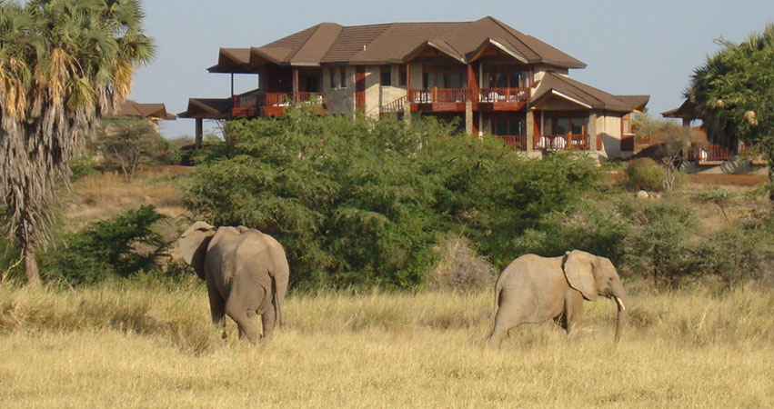 8 Days Nairobi / Samburu / Aberdares / Lake Nakuru / Masai Mara Lodge Safari