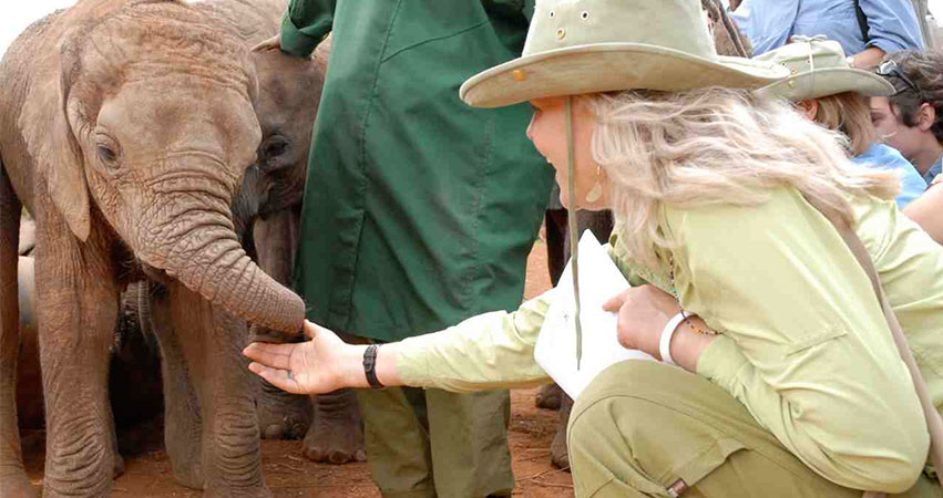 Daphne Sheldrick Elephant Orphanage