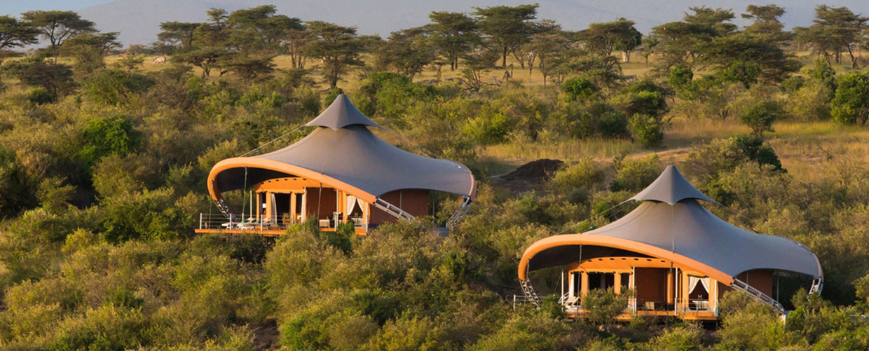 Serengeti National Park Safari,.,